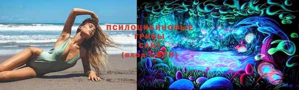 прущие крисы Верея