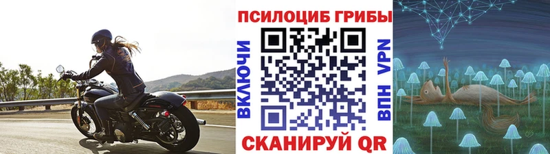 даркнет сайт  Воркута  Псилоцибиновые грибы мухоморы 